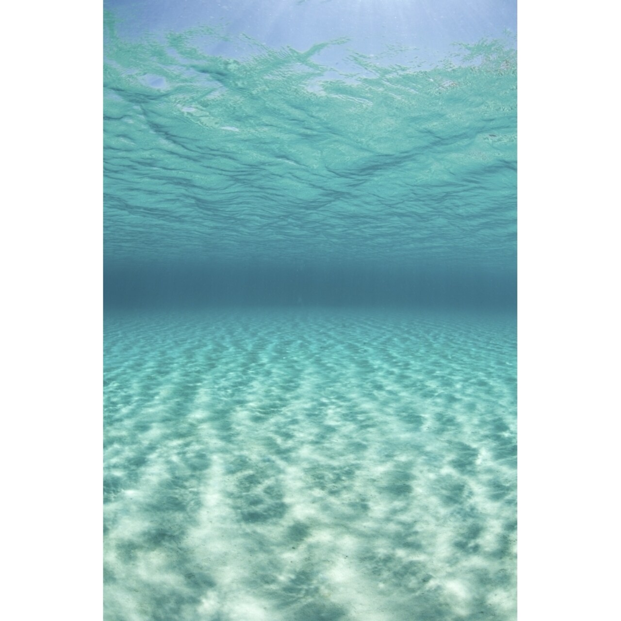 Posterazzi Bright sunlight ripples across a seafloor in the tropical Pacific Ocean Poster Print